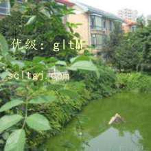 չ滮